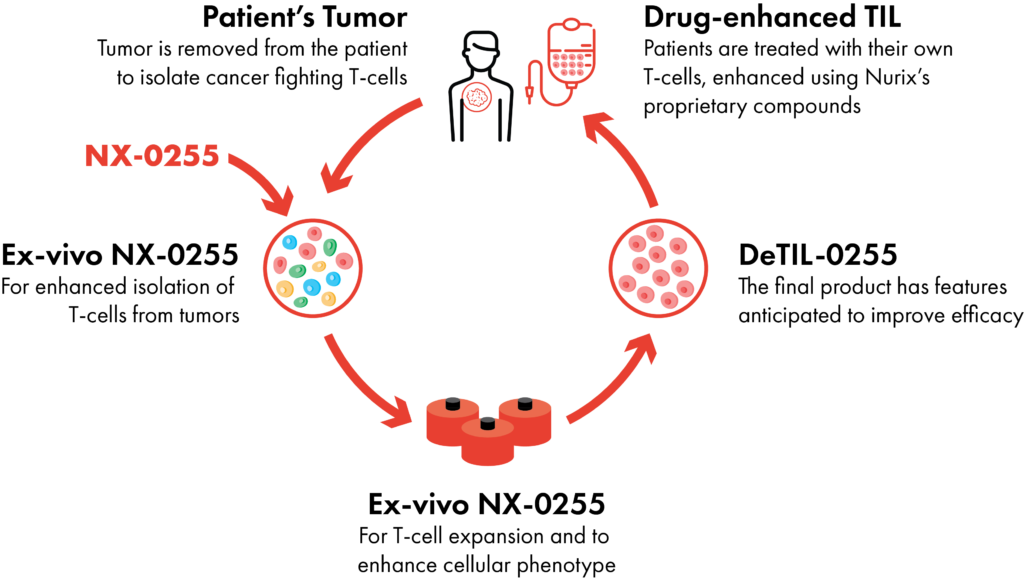 Platform | Nurix