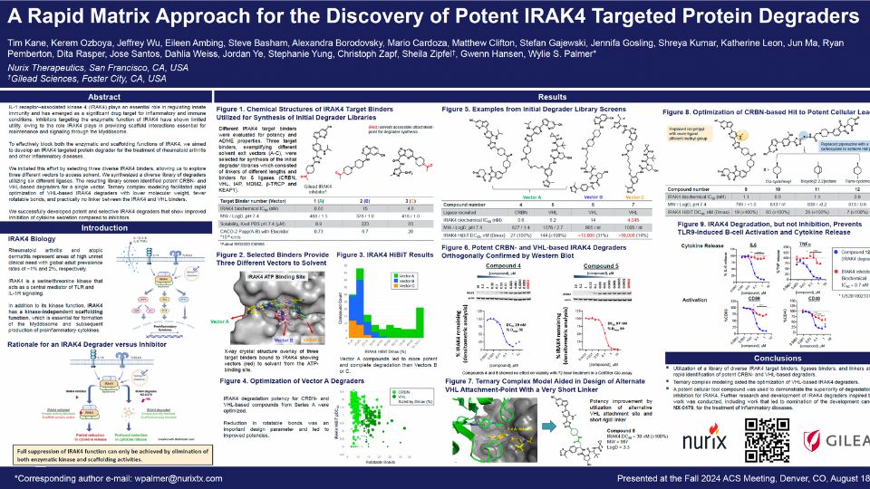 A-Rapid-Matrix-Approach-for-the-Discovery-of-Potent-IRAK4-Targeted-Protein-Degraders thumbnail of presentation